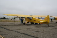 N30653 @ KLPC - Lompoc Piper Cub fly in 2011 - by Nick Taylor Photography