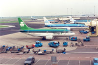 EI-CDD @ EHAM - Aer Lingus , behind is KLM PH-BDY , B737-406 - by Henk Geerlings