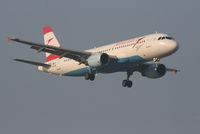 OE-LBS @ EBBR - Arrival of flight OS351 to RWY 02 - by Daniel Vanderauwera