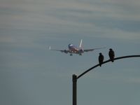 N762SW @ ONT - Two friends are watching the ship on final to runway 26, probably thinking about how big that bird is - by Helicopterfriend