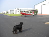 N571SA @ 16X - Faithful dog watching Super Decthlon departure