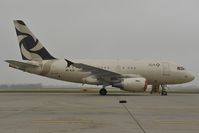 A6-AJC @ LOWW - Al Jaber Airbus 318 - by Dietmar Schreiber - VAP