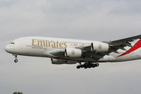 A6-EDP photo, click to enlarge A6-EDP photo, click to enlarge