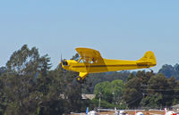 N19512 @ KWVI - 1937 Taylor J-2 painted as NC19512 landing @ Watsonville Fly-In - by Steve Nation