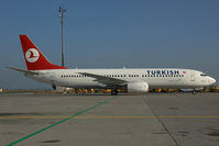 TC-JFR @ LOWW - THY Boeing 737-800 - by Dietmar Schreiber - VAP