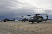 94-26577 @ LOWW - United States Army Sikorsky UH60 Black Hawk - by Dietmar Schreiber - VAP