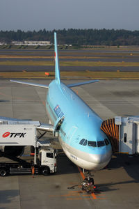 HL7297 photo, click to enlarge
