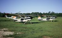 N5229G @ 90F - Cessna 305C - by Mark Pasqualino