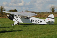 EI-BCM - At the March Fly-in at Limetree Airfield. - by Noel Kearney