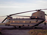 ZD981 photo, click to enlarge ZD981 photo, click to enlarge