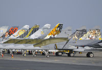 9819 @ LFQI - Tiger Meet