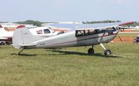 N112QB @ LAL - Cessna 170B - by Florida Metal