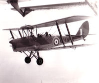 G-ANMO - In Formation With a beagle Terrier, jolly good days - by Not Known I might have taken it