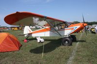 N1890A @ LAL - Piper PA-18