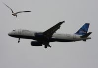 N615JB @ TPA - Jet Blue A320 - by Florida Metal