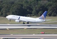 N76502 @ TPA - United 737 - by Florida Metal
