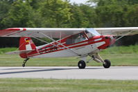 D-EJEN @ LOAU - Piper PA 18-95