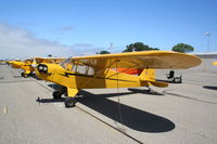 N7020H @ KLPC - Lompoc Piper Cub fly in 2012 - by Nick Taylor