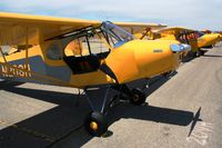 N209H @ KLPC - Lompoc Piper Cub fly in 2012 - by Nick Taylor