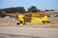 N26105 @ KLPC - Lompoc Piper Cub fly in 2012 - by Nick Taylor