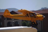 N711YC @ KLPC - Lompoc Piper Cub fly in 2012 - by Nick Taylor