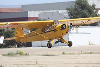 N48525 @ KLPC - Lompoc Piper Cub fly in 2012 - by Nick Taylor