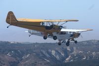 N2149M @ KLPC - Cub formation - by Nick Taylor