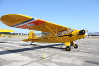 N48525 @ KLPC - Lompoc Piper Cub fly in 2010 - by Nick Taylor