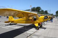 N3496N @ KLPC - Lompoc Piper Cub fly in 2010 - by Nick Taylor