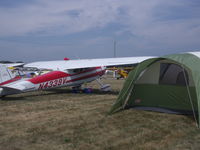 N4339V @ OSH - cessna 190 - by christian maurer