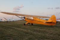 N92229 @ OSH - 1946 Piper J3C-65, c/n: 16674 - by Timothy Aanerud