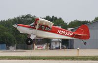 N303AP @ KOSH - Bearhawk