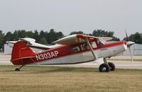 N303AP @ KOSH - Bearhawk