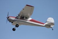 N5317C @ LAL - Cessna 140A - by Daniel Compton