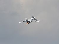 N9143Z @ LAL - Black Diamond Mig-17