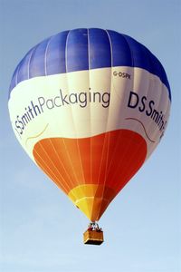 G-DSPK - Cameron Balloon Z-140 [10640] Ashton Court-Bristol~G 07/08/2009 - by Ray Barber