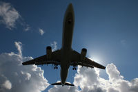 TC-JNN photo, click to enlarge TC-JNN photo, click to enlarge