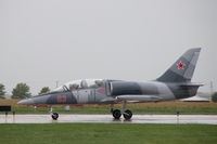 N139GS @ KDVN - Quad Cities Air Show - by Glenn E. Chatfield