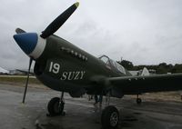 N49FG @ TIX - P-40 Warhawk - by Florida Metal