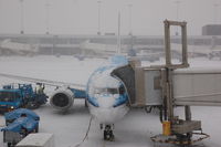 PH-BTG @ EHAM - A bit of deicing was needed before we were able to leave for our trip to the Sahara desert. - by FerryPNL