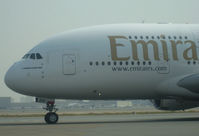 A6-EDD @ OMDB - Emirates Airbus A380 - by Thomas Ranner