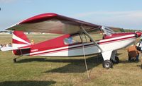 N289EH @ KOSH - Bearhawk - by Mark Pasqualino