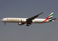 A6-EGS photo, click to enlarge A6-EGS photo, click to enlarge