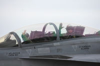 165913 @ AFW - At the 2012 Alliance Airshow - Fort Worth, TX