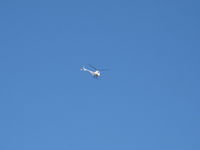 N8828F photo, click to enlarge