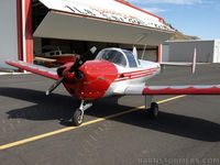 N99050 - 1946 Ercoupe 415-C 85hp - by Berry
