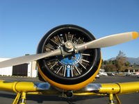 N4995C photo, click to enlarge