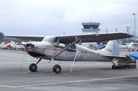 C-GLOO @ CYNJ - Cessna 170B at Langley Regional Airport, Langley BC