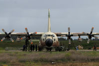 316 @ LIED - Israeli Defense Forces - by BTT