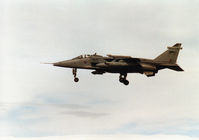 XZ394 photo, click to enlarge XZ394 photo, click to enlarge